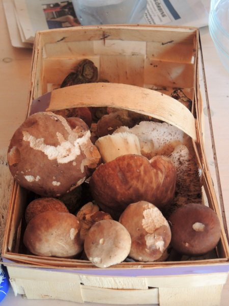 DSCN0622.JPG
