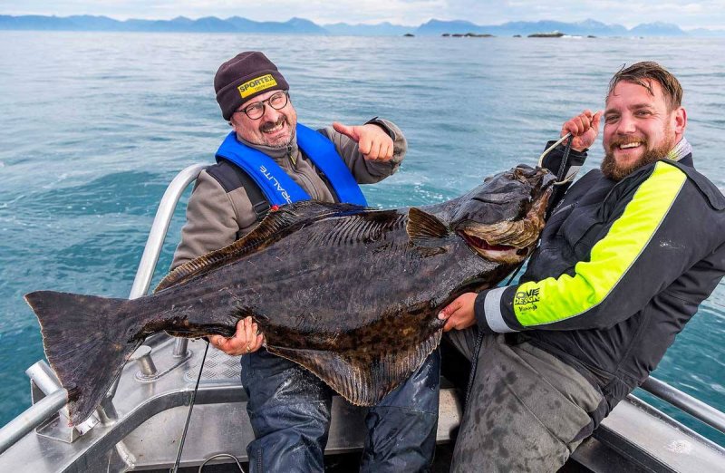 Fisch und Fang2.jpg