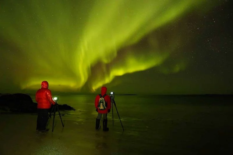 Fisch und Fang3.webp