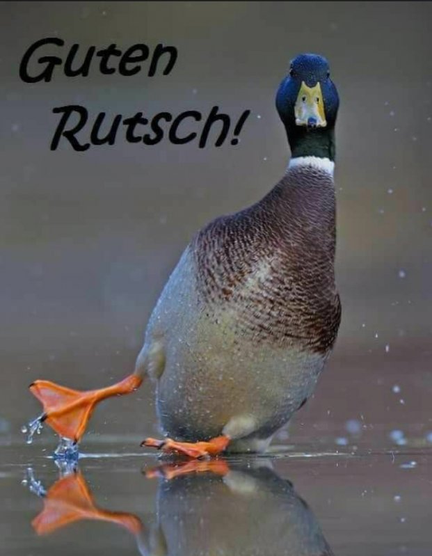 Guten Rutsch.jpg