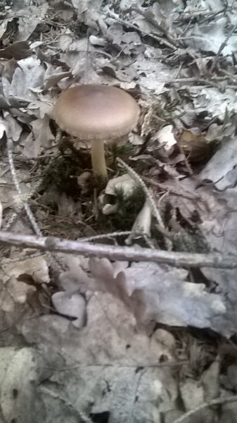 IMG-20170705-WA0004.jpg