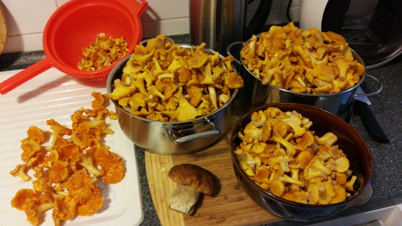 IMG-20170726-WA0043.jpeg