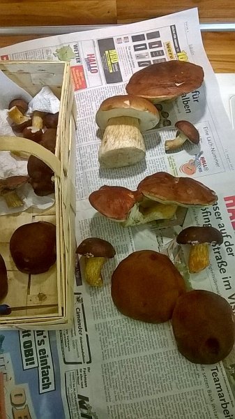 IMG-20170813-WA0001.jpg