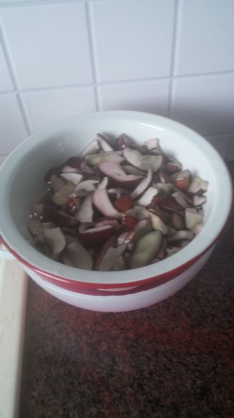 IMG-20170926-WA0016.jpeg
