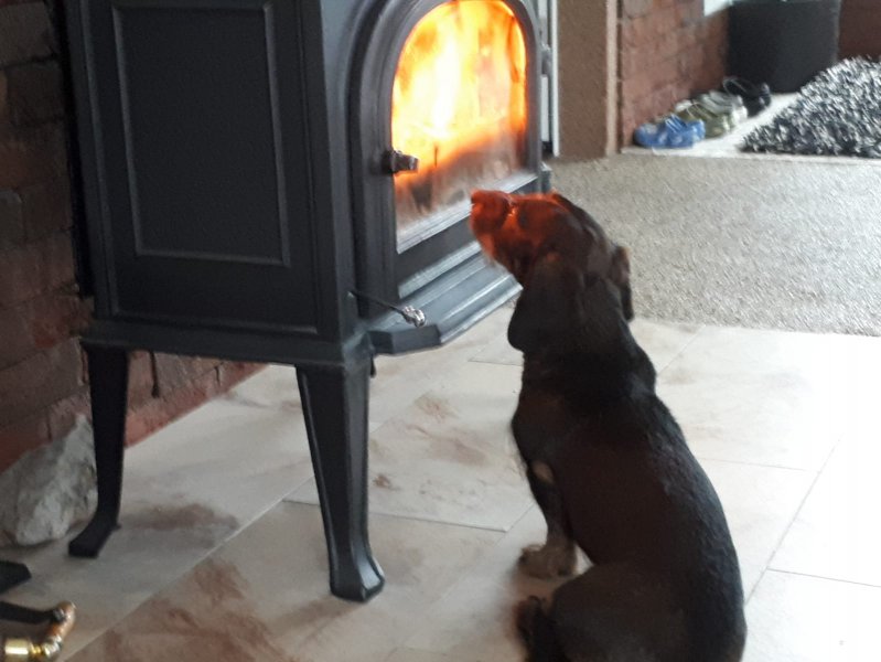 IMG-20190203-WA0001.jpg