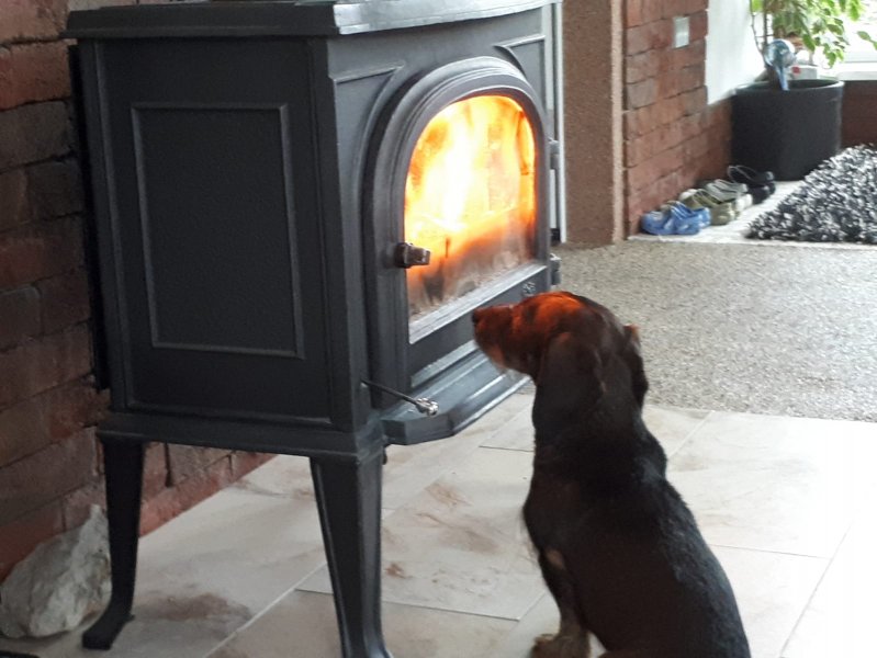 IMG-20190203-WA0002.jpg