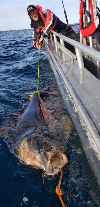 IMG-20211222-WA0001.jpg IMG-20211222-WA0001.jpg