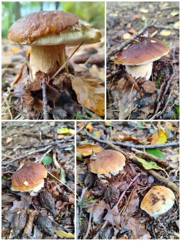 IMG-20240924-WA0000.jpg IMG-20240924-WA0000.jpg