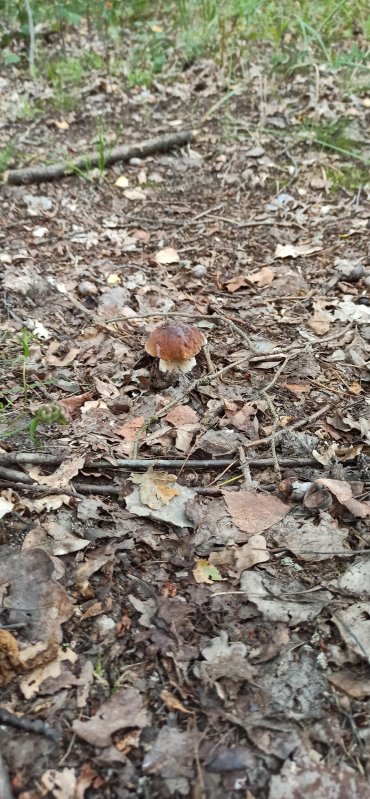 img_20210905_122303-jpg.189523