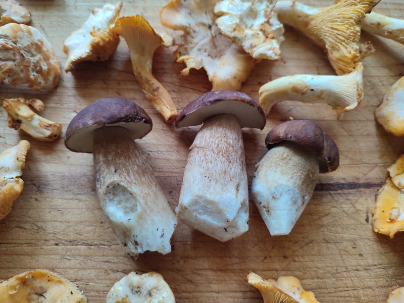 IMG_20240710_194712.jpg IMG_20240710_194712.jpg