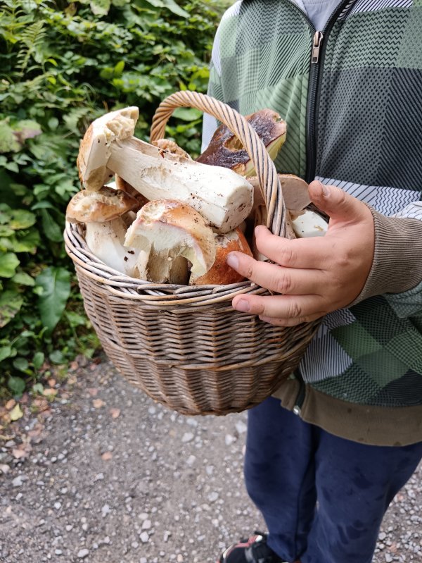 IMG_20240924_163639.jpg IMG_20240924_163639.jpg