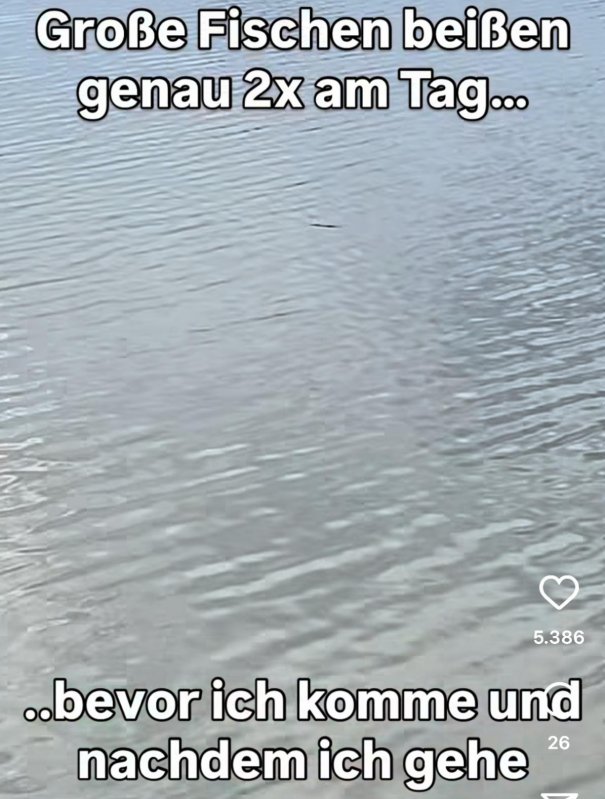 IMG_7789.jpeg