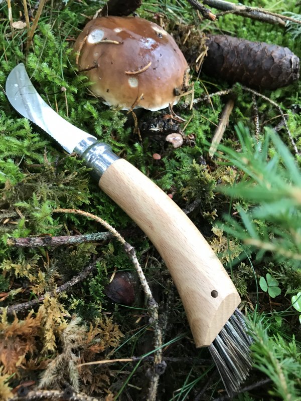 IMG_8289 - Kopie.JPG