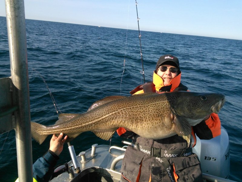 Nilkreuzfahrt und Norwegen 15u.16 070.jpg