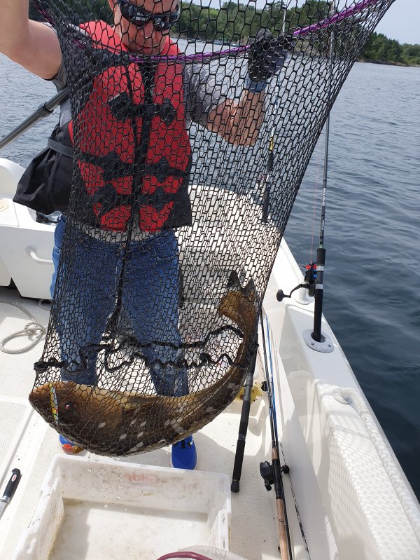 Norwegen Geburtstagsfang.jpg