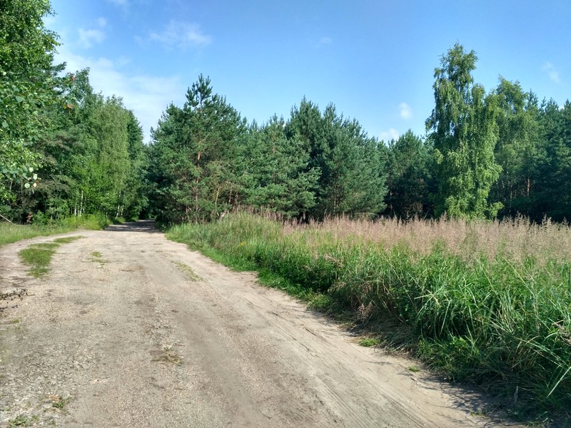 pilze2.jpg