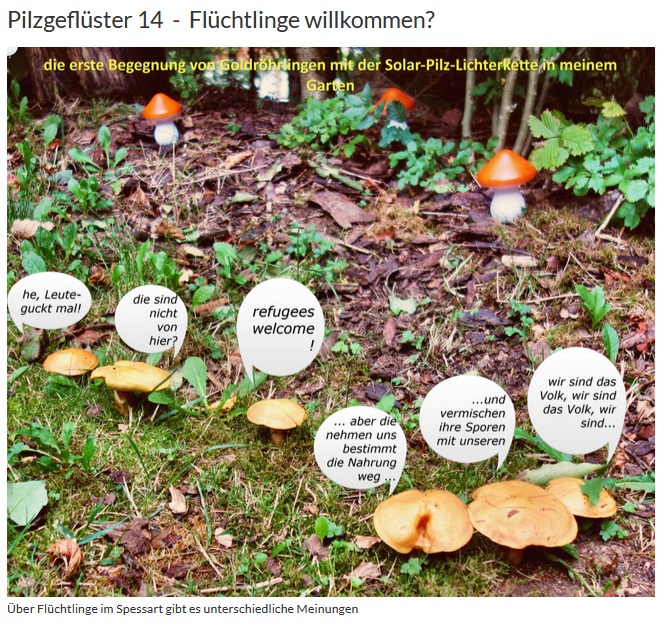 Pilzgeflüster 14.jpg