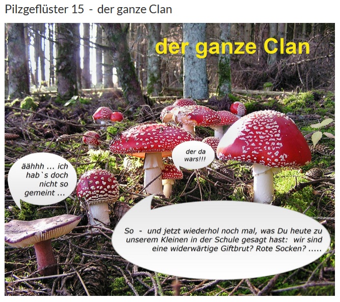 Pilzgeflüster 15.jpg
