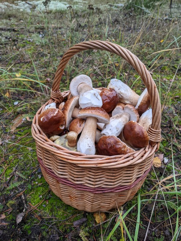 PXL_20231029_121332258.jpg PXL_20231029_121332258.jpg