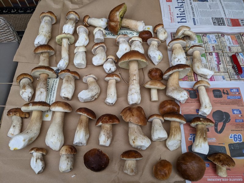 PXL_20231029_132703358.jpg PXL_20231029_132703358.jpg