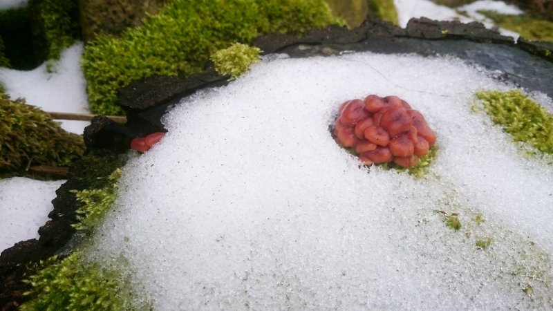 samt23.3.2017_1.JPG samt23.3.2017_1.JPG