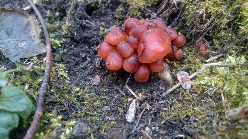 samt26.3.2017_3.JPG samt26.3.2017_3.JPG