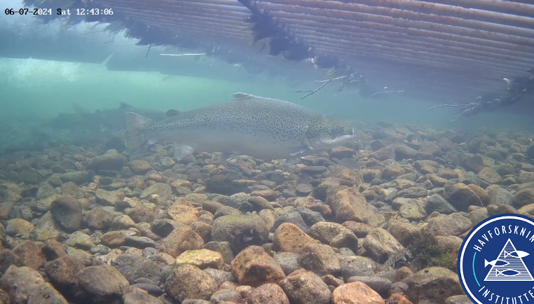 Screenshot 2024-07-06 124639.png