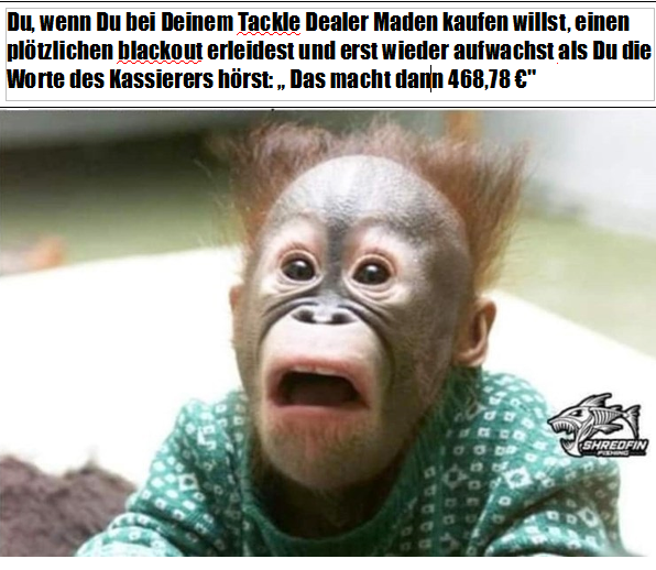 Screenshot 2024-07-31 222017.png