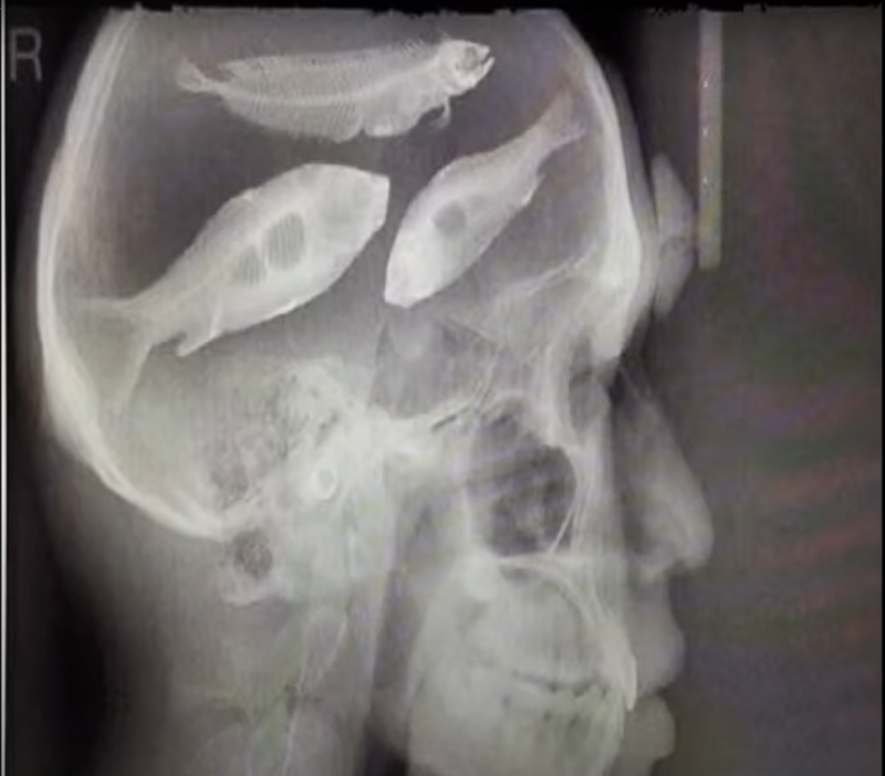 Screenshot 2024-10-13 002221.png