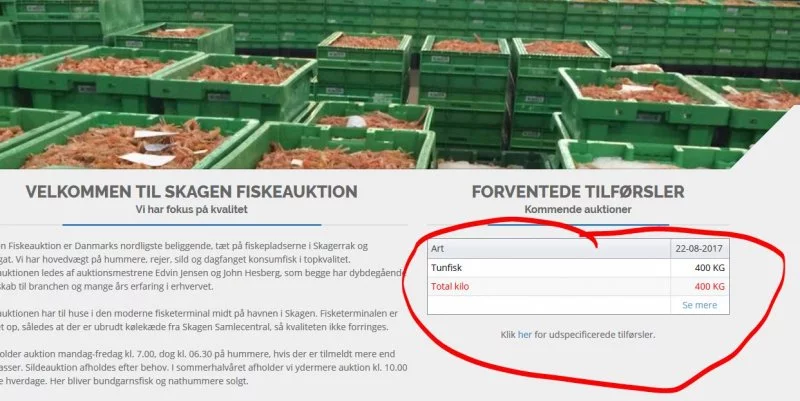 Screenshot 22.08. Skagen.webp