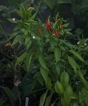 upload_2019-6-30_22-10-28.webp