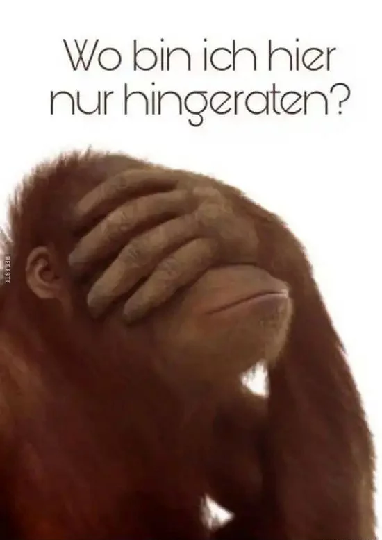 wo_bin_ich_hier_hingeraten.png