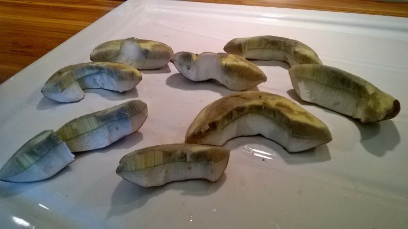 WP_20170819_11_27_09_Pro.jpg