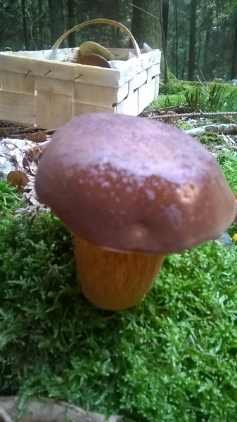WP_20170822_17_39_20_Pro.jpg