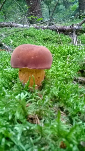 WP_20170825_19_46_14_Pro.jpg