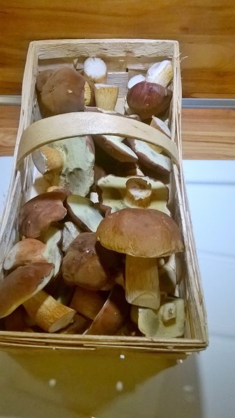 WP_20170825_20_48_24_Pro.jpg