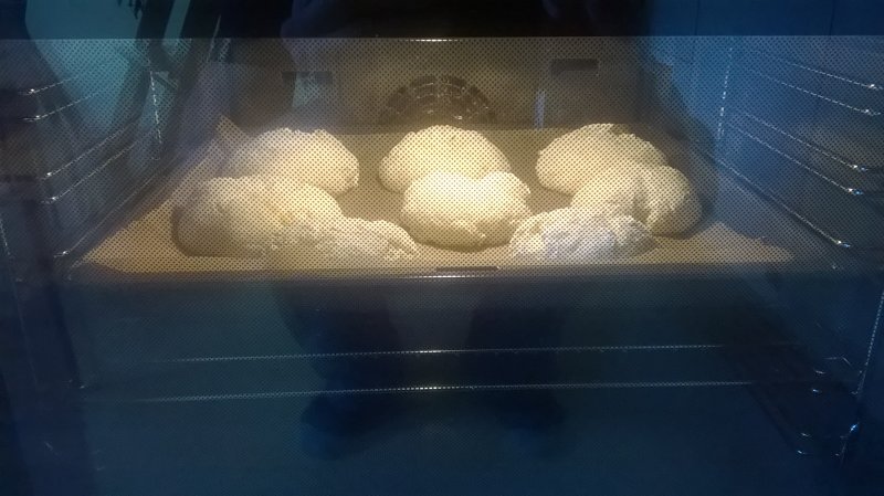 WP_20170827_12_46_54_Pro.jpg