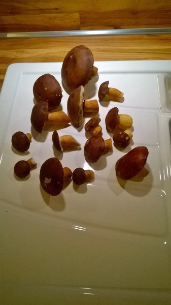 WP_20170916_19_47_52_Pro.jpg