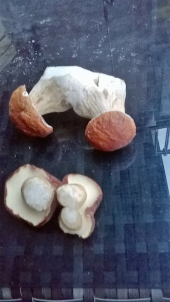WP_20170920_19_17_39_Pro.jpg