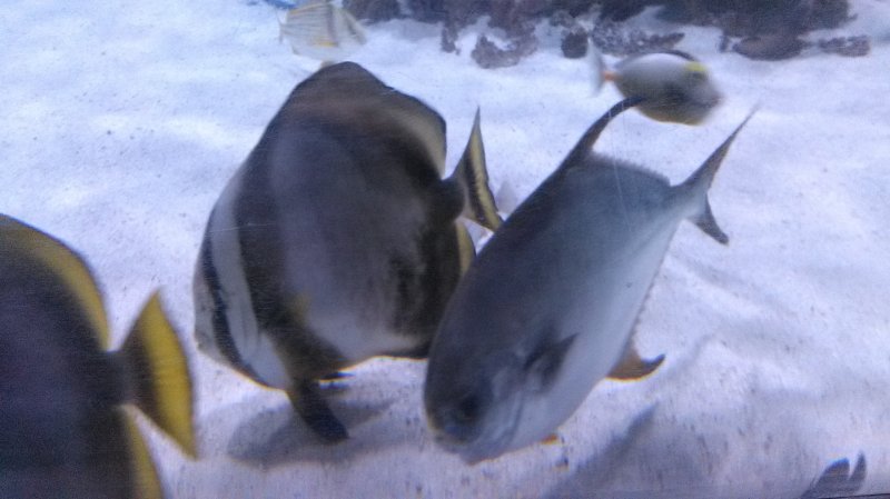WP_20180202_10_22_49_Pro.jpg