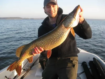 April Müritz 1.webp