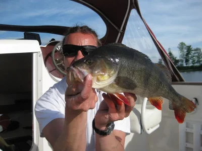 01.06.2010 44erBarschII.webp