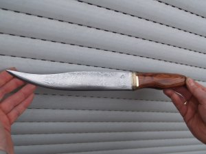 P1052717_Bildgröße ändern.JPG P1052717_Bildgröße ändern.JPG