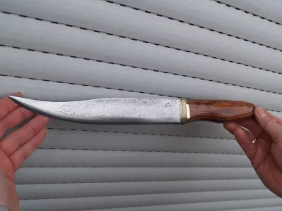 P1052717_Bildgröße ändern.webp P1052717_Bildgröße ändern.webp