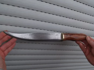 P1052718_Bildgröße ändern.webp P1052718_Bildgröße ändern.webp