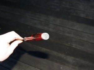 P1286133.JPG P1286133.JPG