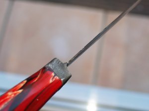 P1296143.JPG P1296143.JPG