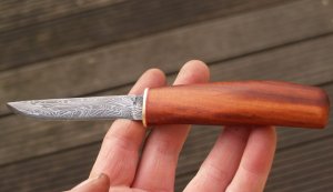 P1306145.jpg P1306145.jpg