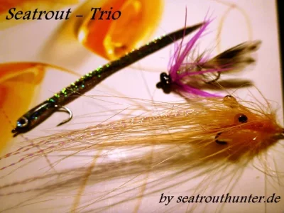 Meerforellen Fliege.webp