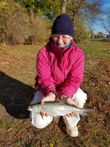 20181031_121709.jpg 20181031_121709.jpg